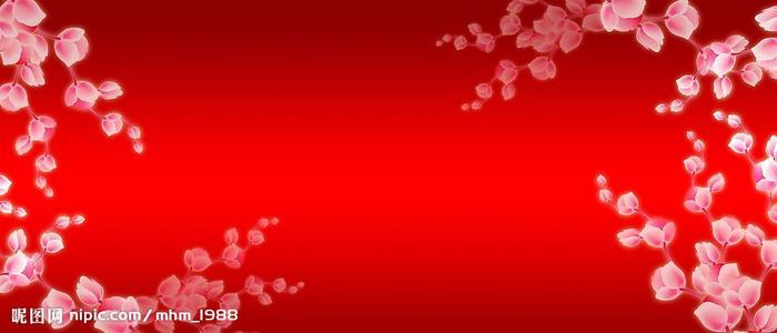 仿制俄亥俄州驾照